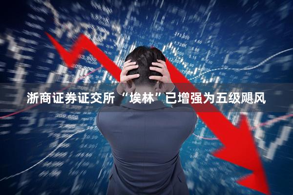 浙商证券证交所 “埃林”已增强为五级飓风