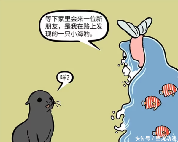 盈胜优配 非人哉：妈祖带回受伤的小海豹，小海狮的食物被抢