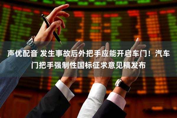 声优配音 发生事故后外把手应能开启车门！汽车门把手强制性国标征求意见稿发布